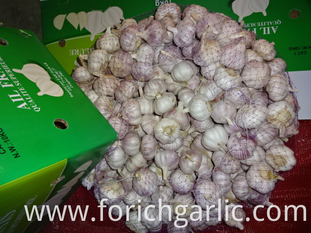 Fresh High Quality Normal White Garlic 2019
